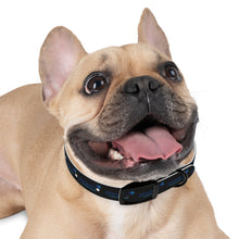 Load image into Gallery viewer, Pioneers Dog Collar - Black