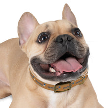 Load image into Gallery viewer, Pioneers Dog Collar - Lt Brown