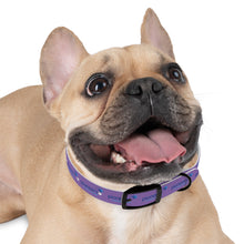 Load image into Gallery viewer, Pioneers Dog Collar - Purple