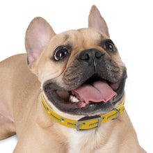 Load image into Gallery viewer, Pioneers Dog Collar - Yellow