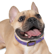 Load image into Gallery viewer, Pioneers Dog Collar - Purple