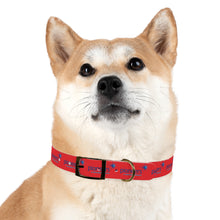Load image into Gallery viewer, Pioneers Dog Collar - Red
