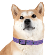 Load image into Gallery viewer, Pioneers Dog Collar - Purple