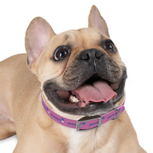 Load image into Gallery viewer, Pioneers Dog Collar - Light Pink