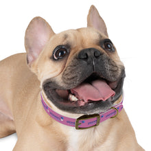 Load image into Gallery viewer, Pioneers Dog Collar - Light Pink