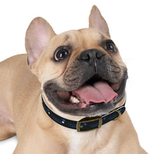 Load image into Gallery viewer, Pioneers Dog Collar - Black