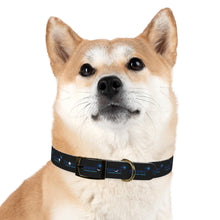 Load image into Gallery viewer, Pioneers Dog Collar - Black