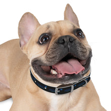 Load image into Gallery viewer, Pioneers Dog Collar - Black