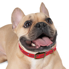 Load image into Gallery viewer, Pioneers Dog Collar - Red

