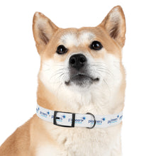 Load image into Gallery viewer, Pioneers Dog Collar - White

