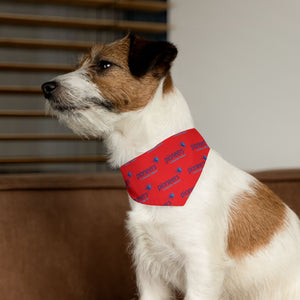 Pioneers Logo Pet Bandana Collar - 4 sizes - red