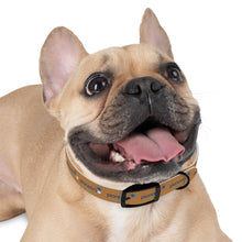 Load image into Gallery viewer, Pioneers Dog Collar - Lt Brown
