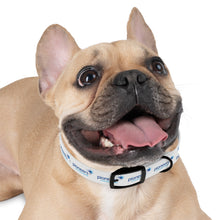 Load image into Gallery viewer, Pioneers Dog Collar - White
