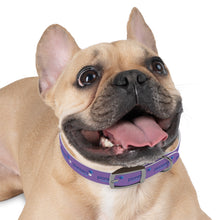Load image into Gallery viewer, Pioneers Dog Collar - Purple
