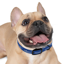 Load image into Gallery viewer, Pioneers Dog Collar - Blue
