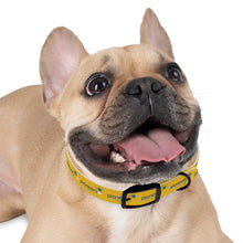 Load image into Gallery viewer, Pioneers Dog Collar - Yellow
