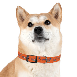 Pioneers Dog Collar - Orange