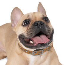 Load image into Gallery viewer, Pioneers Dog Collar - Lt Brown
