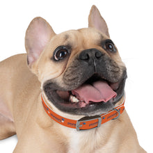 Load image into Gallery viewer, Pioneers Dog Collar - Orange
