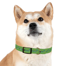 Load image into Gallery viewer, Pioneers Dog Collar - Green
