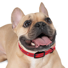 Load image into Gallery viewer, Pioneers Dog Collar - Red

