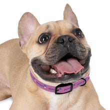 Load image into Gallery viewer, Pioneers Dog Collar - Light Pink
