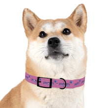 Load image into Gallery viewer, Pioneers Dog Collar - Light Pink

