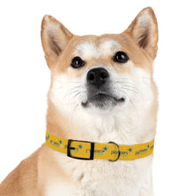 Load image into Gallery viewer, Pioneers Dog Collar - Yellow
