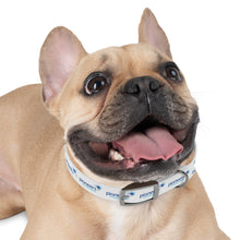 Load image into Gallery viewer, Pioneers Dog Collar - White
